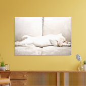 Kutest Baby Animals | Sleepy Yellow Labrador Puppy Canvas Afdruk (Insitu (Woonkamer))