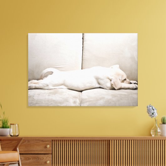 Kutest Baby Animals | Sleepy Yellow Labrador Puppy Canvas Afdruk (Insitu (Woonkamer))