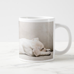 Kutest Baby Animals Sleepy Yellow Labrador Puppy Grote Koffiekop