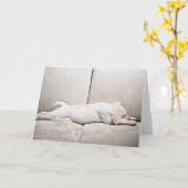 Kutest Baby Animals | Sleepy Yellow Labrador Puppy Kaart (Gele Bloem)