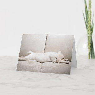 Kutest Baby Animals Sleepy Yellow Labrador Puppy Kaart