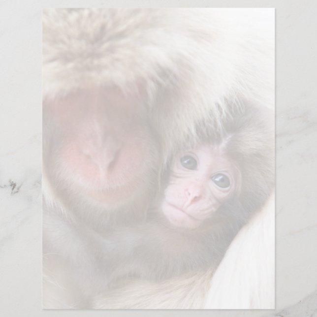 Kutest Baby Animals | Sneeuwaap (Voorkant)