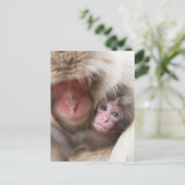 Kutest Baby Animals | Sneeuwaap Briefkaart (Staand voorkant)