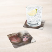 Kutest Baby Animals | Sneeuwaap Kartonnen Onderzetters (Insitu)