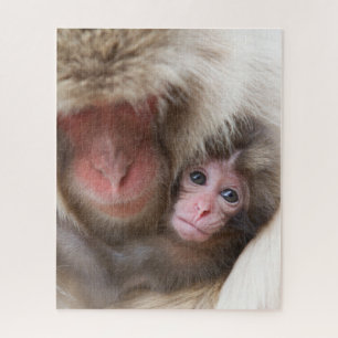 Kutest Baby Animals   Sneeuwaap Legpuzzel