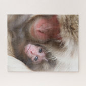 Kutest Baby Animals | Sneeuwaap Legpuzzel (Horizontaal)