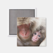 Kutest Baby Animals | Sneeuwaap Magneet (Voorkant / Achterkant)