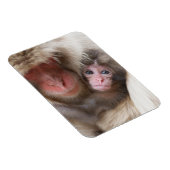 Kutest Baby Animals | Sneeuwaap Magneet (Rechterzijde)