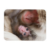 Kutest Baby Animals | Sneeuwaap Magneet (Horizontaal)