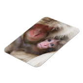 Kutest Baby Animals | Sneeuwaap Magneet (Linkerzijde)