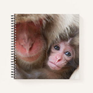 Kutest Baby Animals Sneeuwaap Notitieboek