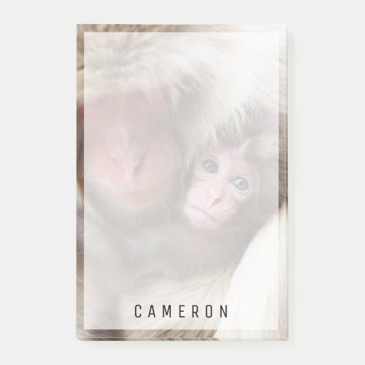 Kutest Baby Animals | Sneeuwaap Post-it® Notes (Voorkant)