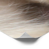 Kutest Baby Animals | Sneeuwaap Poster (Hoek)