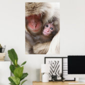 Kutest Baby Animals | Sneeuwaap Poster (Thuiskantoor)