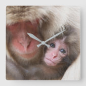 Kutest Baby Animals | Sneeuwaap Vierkante Klok (Voorkant)