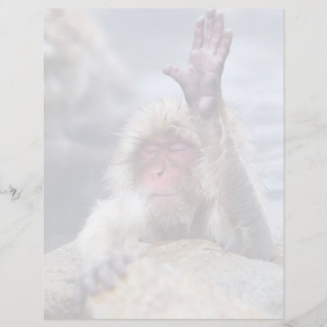 Kutest Baby Animals | Sneeuwkever (Voorkant)