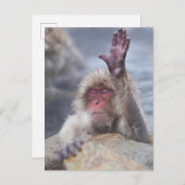 Kutest Baby Animals | Sneeuwkever Briefkaart (Voorkant / Achterkant)