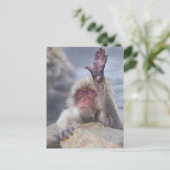 Kutest Baby Animals | Sneeuwkever Briefkaart (Staand voorkant)