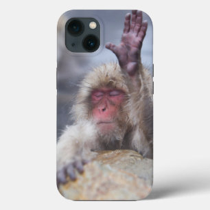 Kutest Baby Animals   Sneeuwkever Case-Mate iPhone Case