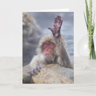 Kutest Baby Animals Sneeuwkever Kaart