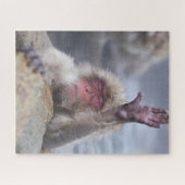 Kutest Baby Animals | Sneeuwkever Legpuzzel (Horizontaal)