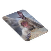 Kutest Baby Animals | Sneeuwkever Magneet (Rechterzijde)