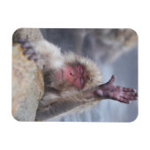 Kutest Baby Animals | Sneeuwkever Magneet (Horizontaal)