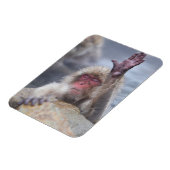 Kutest Baby Animals | Sneeuwkever Magneet (Linkerzijde)