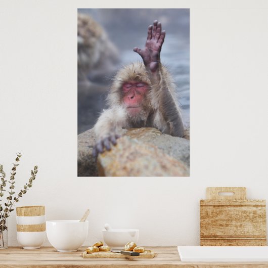 Kutest Baby Animals | Sneeuwkever Poster (Keuken)