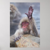 Kutest Baby Animals | Sneeuwkever Poster (Voorkant)