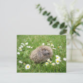 Kutest Baby Animals | Spaanse egel Briefkaart (Staand voorkant)