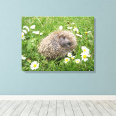 Kutest Baby Animals | Spaanse egel Canvas Afdruk (Insitu (Houten vloer))