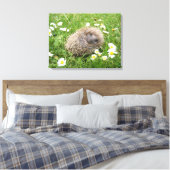 Kutest Baby Animals | Spaanse egel Canvas Afdruk (Insitu (Slaapkamer))