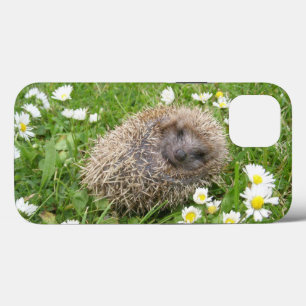 Kutest Baby Animals Spaanse egel Case-Mate iPhone Case