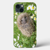 Kutest Baby Animals | Spaanse egel Case-Mate iPhone Case (Achterkant)