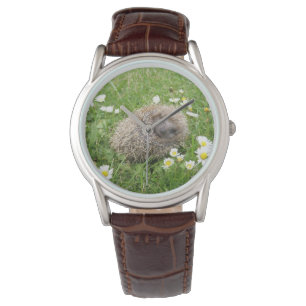 Kutest Baby Animals   Spaanse egel Horloge