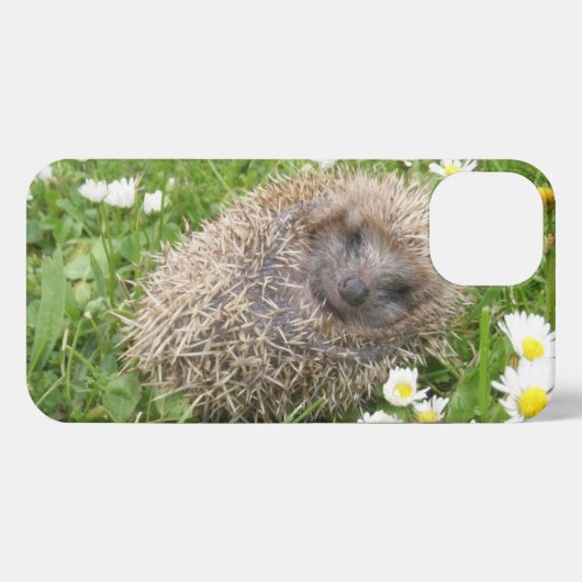Kutest Baby Animals | Spaanse egel iPhone Hoesje (Achterkant horizontaal)