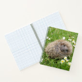 Kutest Baby Animals | Spaanse egel Notitieboek (Binnen)