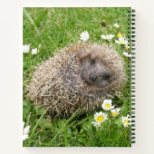 Kutest Baby Animals | Spaanse egel Notitieboek (Achterkant)