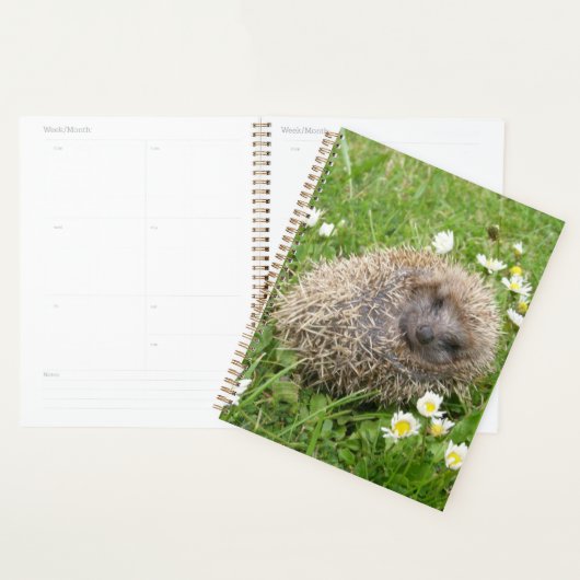 Kutest Baby Animals | Spaanse egel Planner (Display)