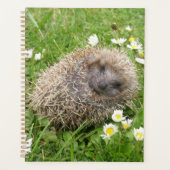 Kutest Baby Animals | Spaanse egel Planner (Voorkant)