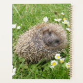 Kutest Baby Animals | Spaanse egel Planner (Achterkant)