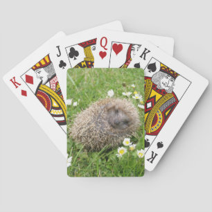 Kutest Baby Animals   Spaanse egel Pokerkaarten
