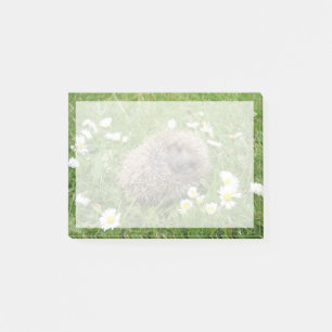 Kutest Baby Animals   Spaanse egel Post-it® Notes