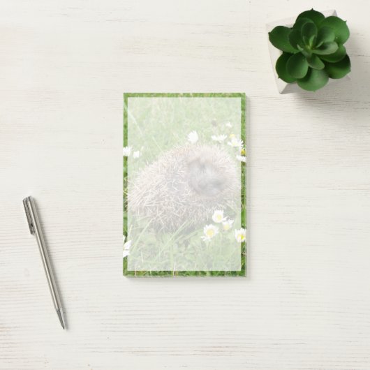 Kutest Baby Animals | Spaanse egel Post-it® Notes (Kantoor)