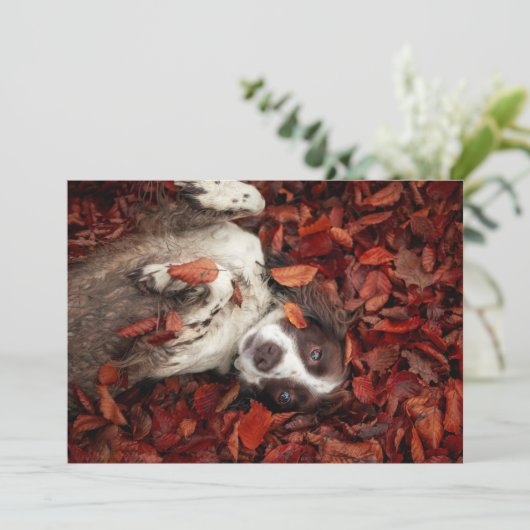 Kutest Baby Animals | Spaniel in najaarsbladeren Bedankkaart (Staand voorkant)