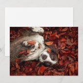 Kutest Baby Animals | Spaniel in najaarsbladeren Bedankkaart (Voorkant / Achterkant)