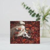 Kutest Baby Animals | Spaniel in najaarsbladeren Briefkaart (Staand voorkant)