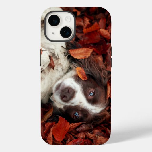 Kutest Baby Animals | Spaniel in najaarsbladeren Case-Mate iPhone Case (Achterkant)
