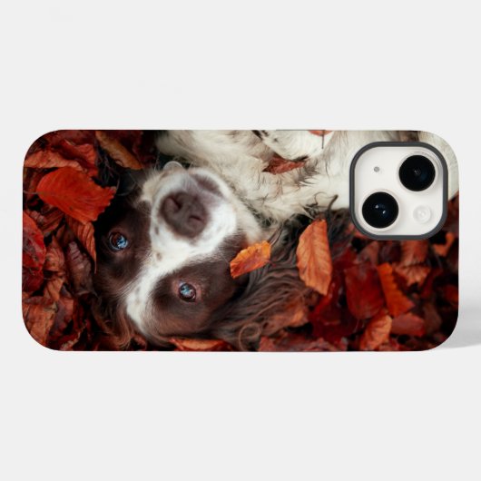 Kutest Baby Animals | Spaniel in najaarsbladeren Case-Mate iPhone Case (Achterkant (horizontaal))